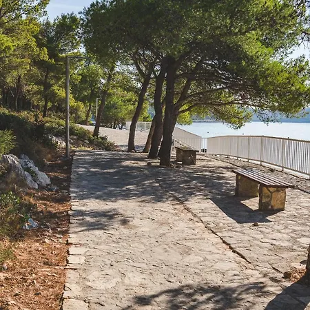 Daire Kristiana Jezera